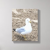 Seagull Leinwanddruck (Vorderseite)