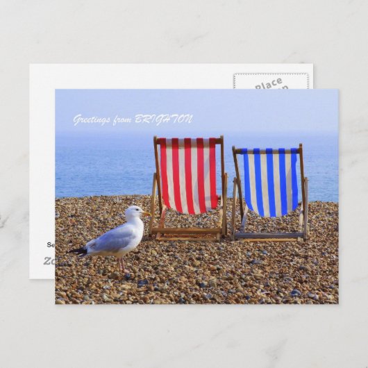 Seagull & Liegestühle Postkarte (Vorne/Hinten)