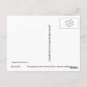 Seagull & Liegestühle Postkarte (Rückseite)