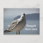 Seagull mag keine Postkarte (Vorderseite)
