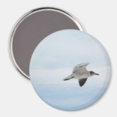 Seagull Magnet (Vorderseite/Rückseite)