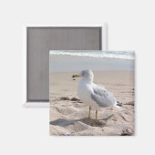 Seagull Magnet (Vorderseite/Rückseite)