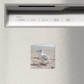 Seagull Magnet (In Situ (Geschirrspüler))