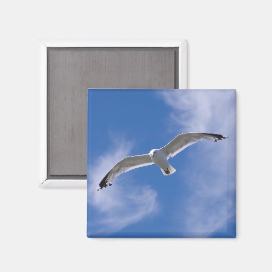 Seagull Magnet (Vorderseite/Rückseite)