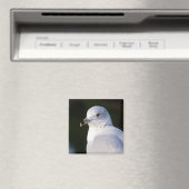 Seagull Magnet (In Situ (Geschirrspüler))