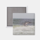 Seagull Magnet (Vorderseite/Rückseite)