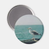 Seagull Magnet (Vorderseite/Rückseite)