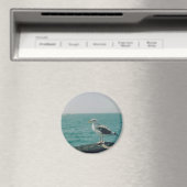 Seagull Magnet (In Situ (Geschirrspüler))