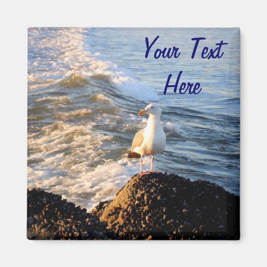 Seagull Magnet (Vorne)