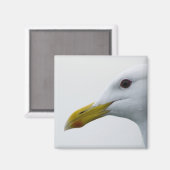 Seagull Magnet 1 (Vorderseite/Rückseite)