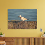 Seagull mit Dragonfly | Tropisches Foto Leinwanddruck (Insitu (Wohnzimmer))