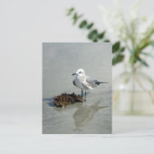 Seagull mit Seetang Postkarte (Stehend Vorderseite)