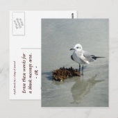 Seagull mit Seetang Postkarte (Vorne/Hinten)