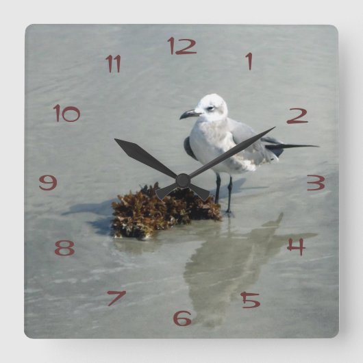 Seagull mit Seetang Quadratische Wanduhr (Vorderseite)