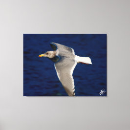 Seagull-Mittelflug in der Mutiny Bay Leinwanddruck