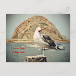 Seagull Morro Bay, Kalifornien Postkarte