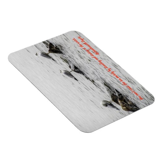 Seagull Motivierend Magnet (Rechte Seite)