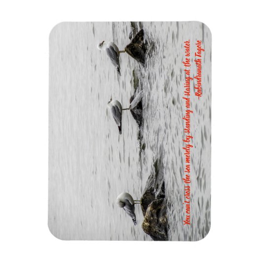 Seagull Motivierend Magnet (Vertikal)