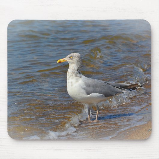 Seagull Mousepad (Vorne)