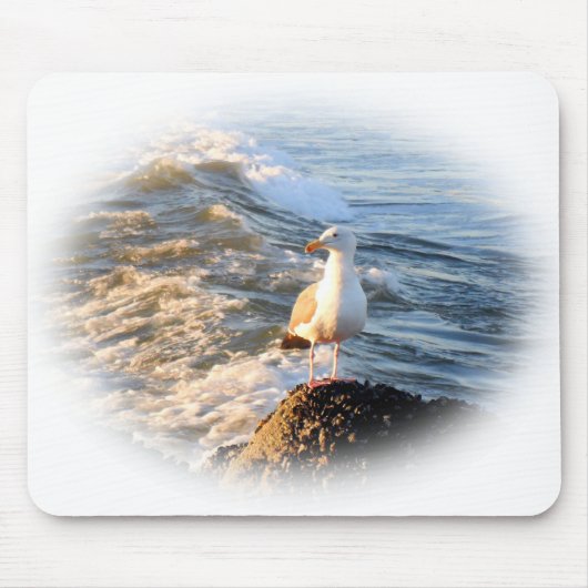 Seagull Mousepad (Vorne)