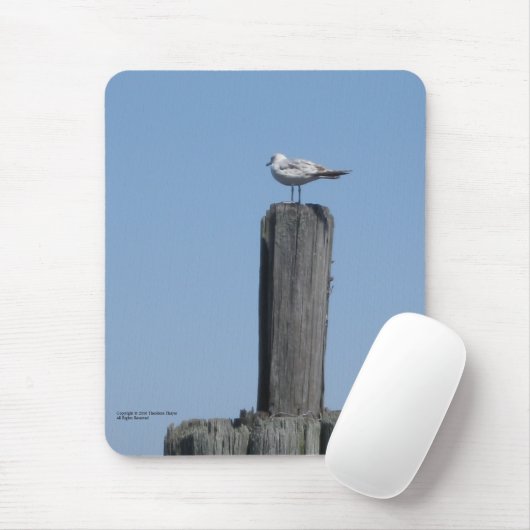 Seagull Mousepad (Mit Mouse)