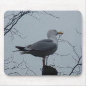 Seagull Mousepad (Vorne)