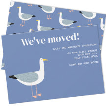 Seagull Moving New Zuhause