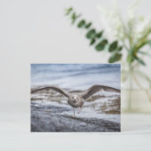 Seagull Nature Foto Postkarte (Stehend Vorderseite)