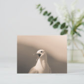 Seagull Nature Foto Postkarte (Stehend Vorderseite)