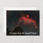 Seagull Nebel Postkarte (Vorne/Hinten)