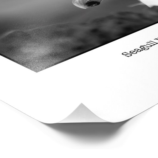 Seagull Nesting Fotodruck (Ecke)