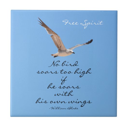 Seagull No Bird klettert zu blau dekorativ Fliese (Vorderseite)