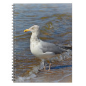 Seagull-Notebook Notizblock (Vorderseite)