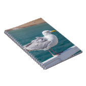 Seagull-Notebook Notizblock (Rechte Seite)