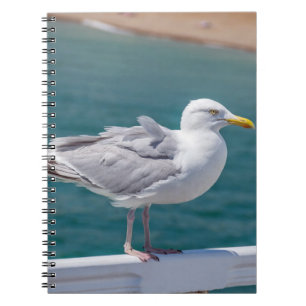 Seagull-Notebook Notizblock
