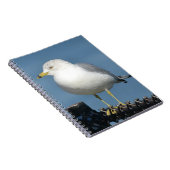 Seagull-Notebook Notizblock (Rechte Seite)