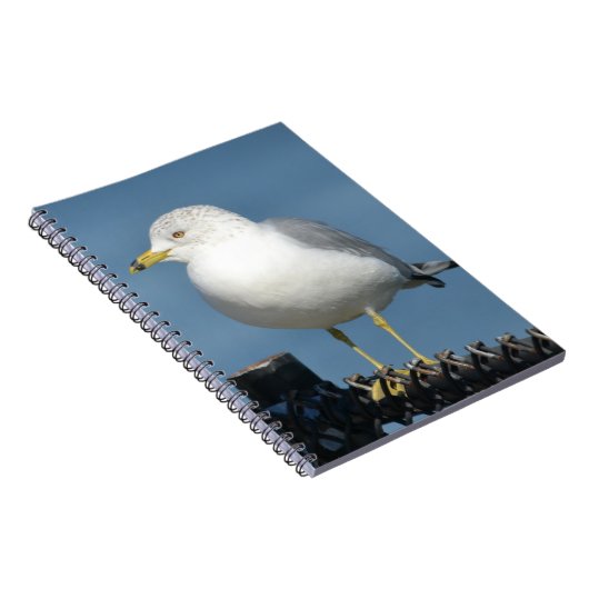 Seagull-Notebook Notizblock (Rechte Seite)