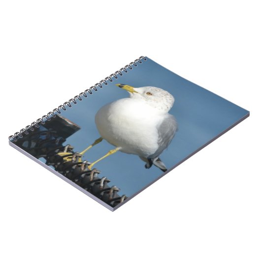 Seagull-Notebook Notizblock (Linke Seite)