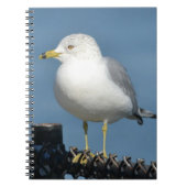 Seagull-Notebook Notizblock (Vorderseite)