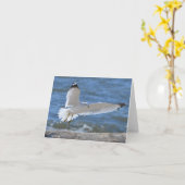 Seagull Notecard Karte (Gelbe Blume)