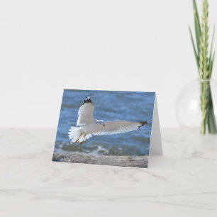 Seagull Notecard Karte