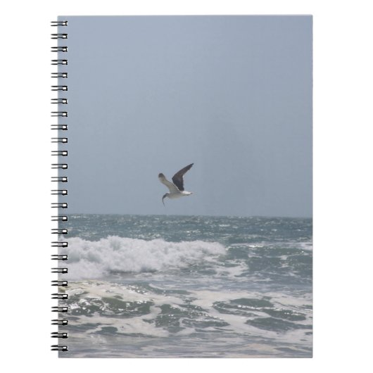 Seagull Notizblock (Vorderseite)