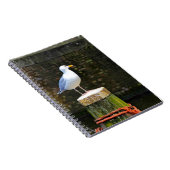 Seagull Notizblock (Rechte Seite)