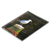 Seagull Notizblock (Linke Seite)