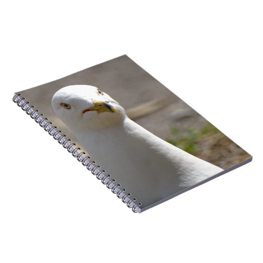 Seagull Notizblock (Rechte Seite)