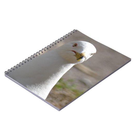 Seagull Notizblock (Linke Seite)