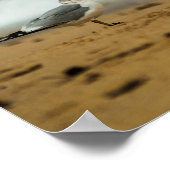Seagull on Beach, Florida Poster (Ecke)