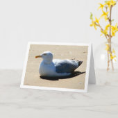 Seagull On Beach Portrait Karte (Gelbe Blume)