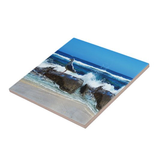 Seagull on Beach Rocks Fliese (Seite)