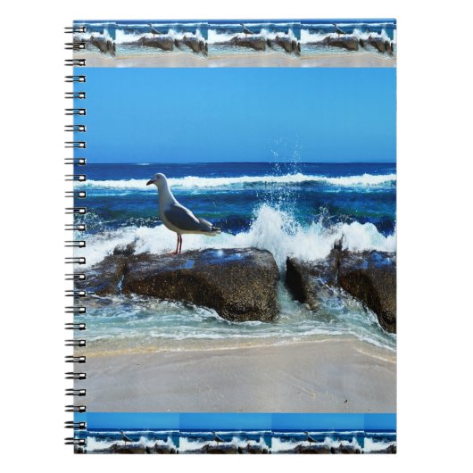 Seagull on Beach Rocks Notizblock (Vorderseite)